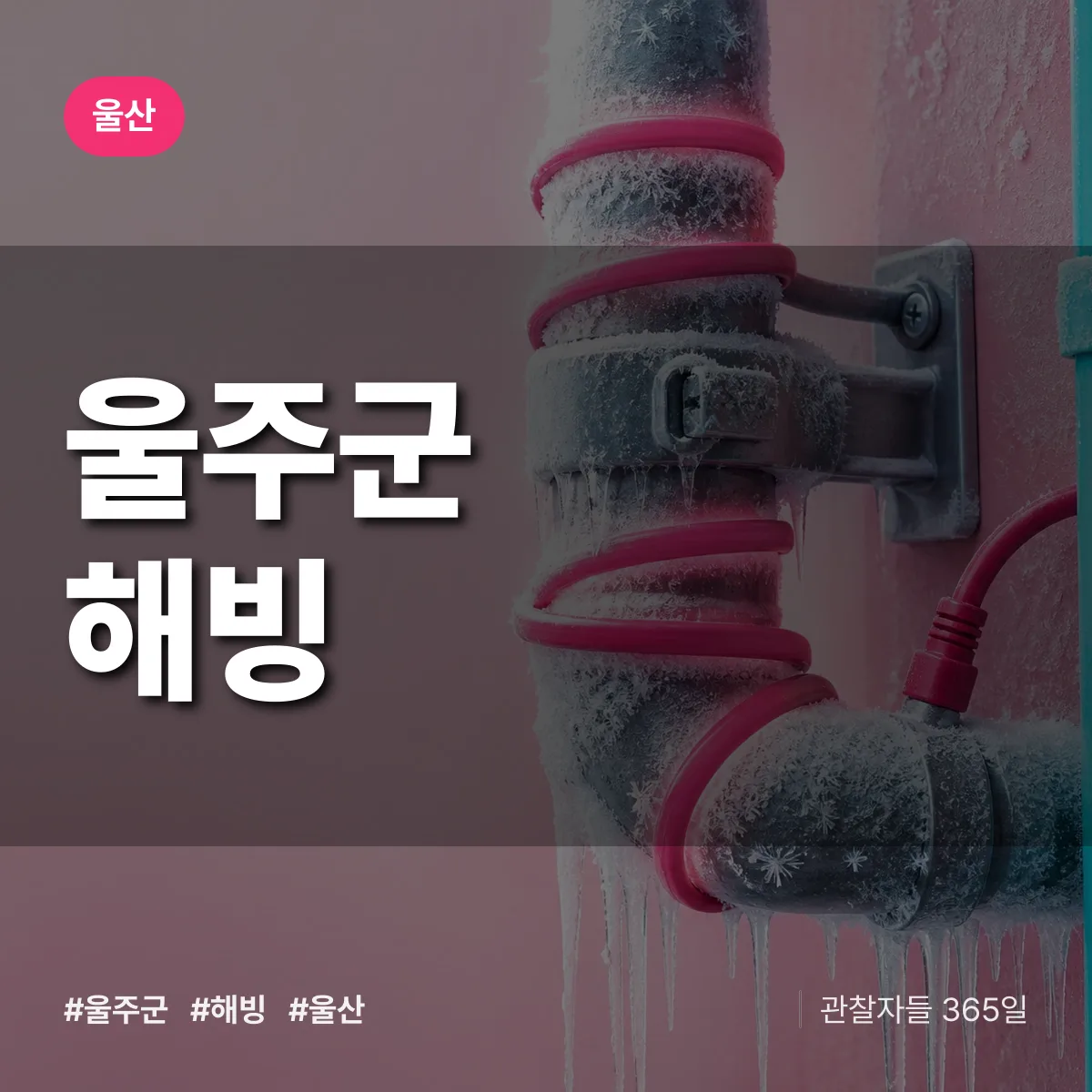 울산 울주군 해빙 배너