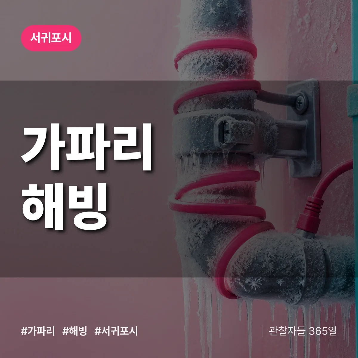 가파리 해빙 배너