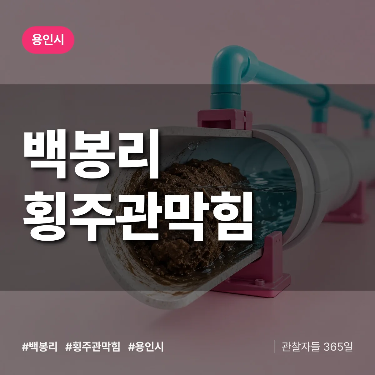용인시 백봉리 횡주관막힘 상담 배너
