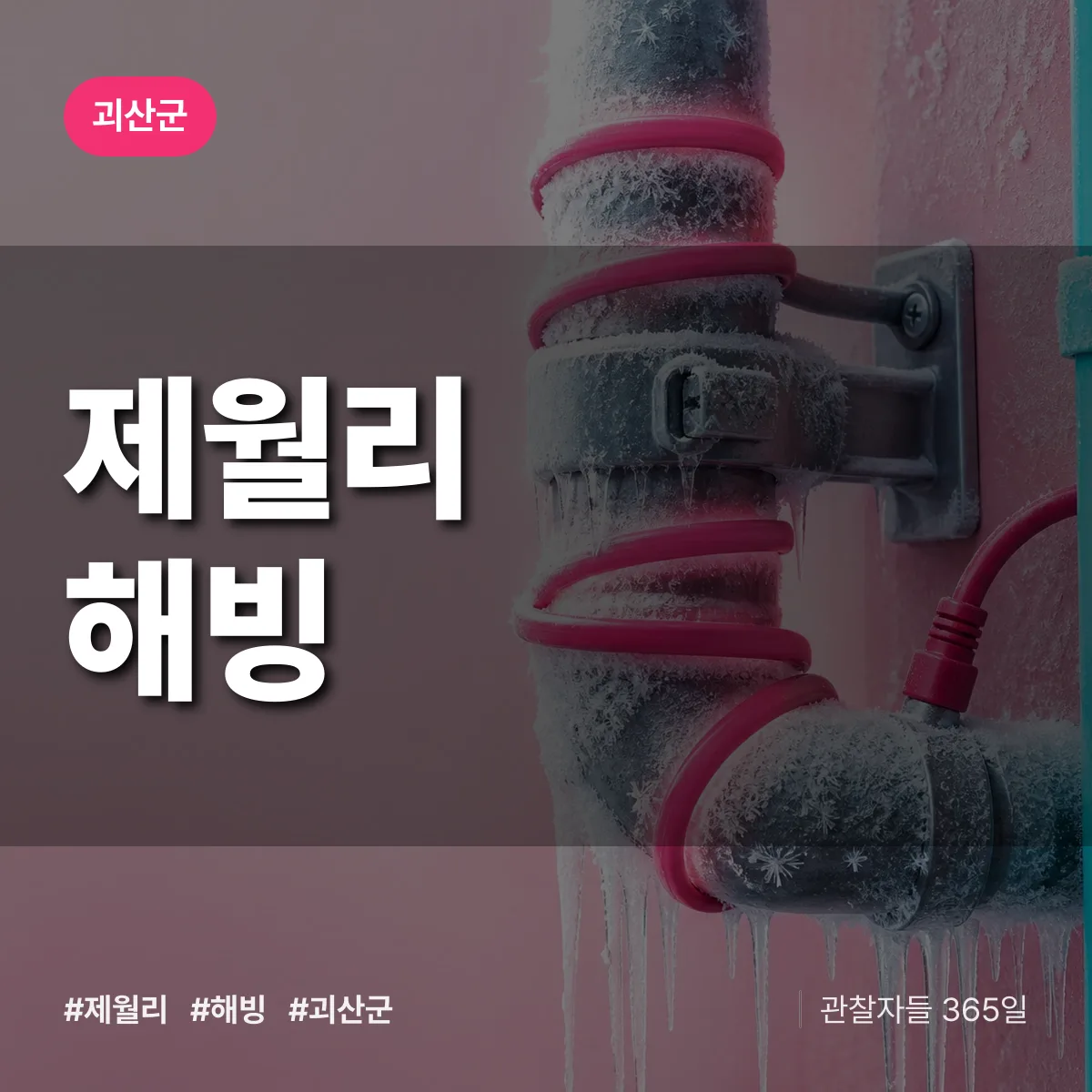 제월리 해빙 배너