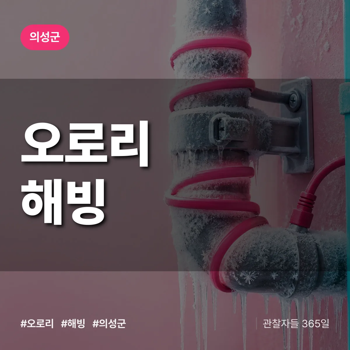 오로리 해빙 배너