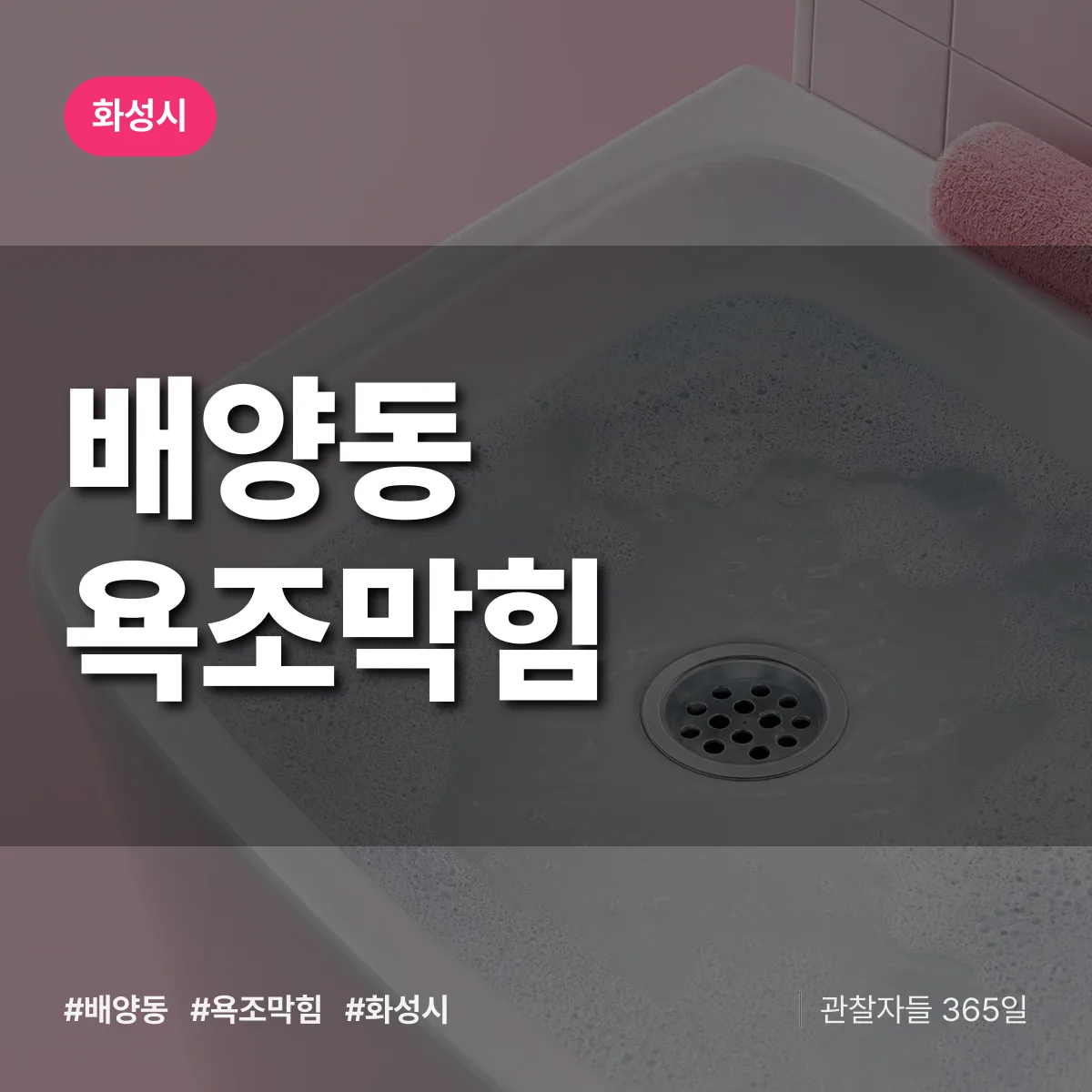 배양동 욕조막힘 배너