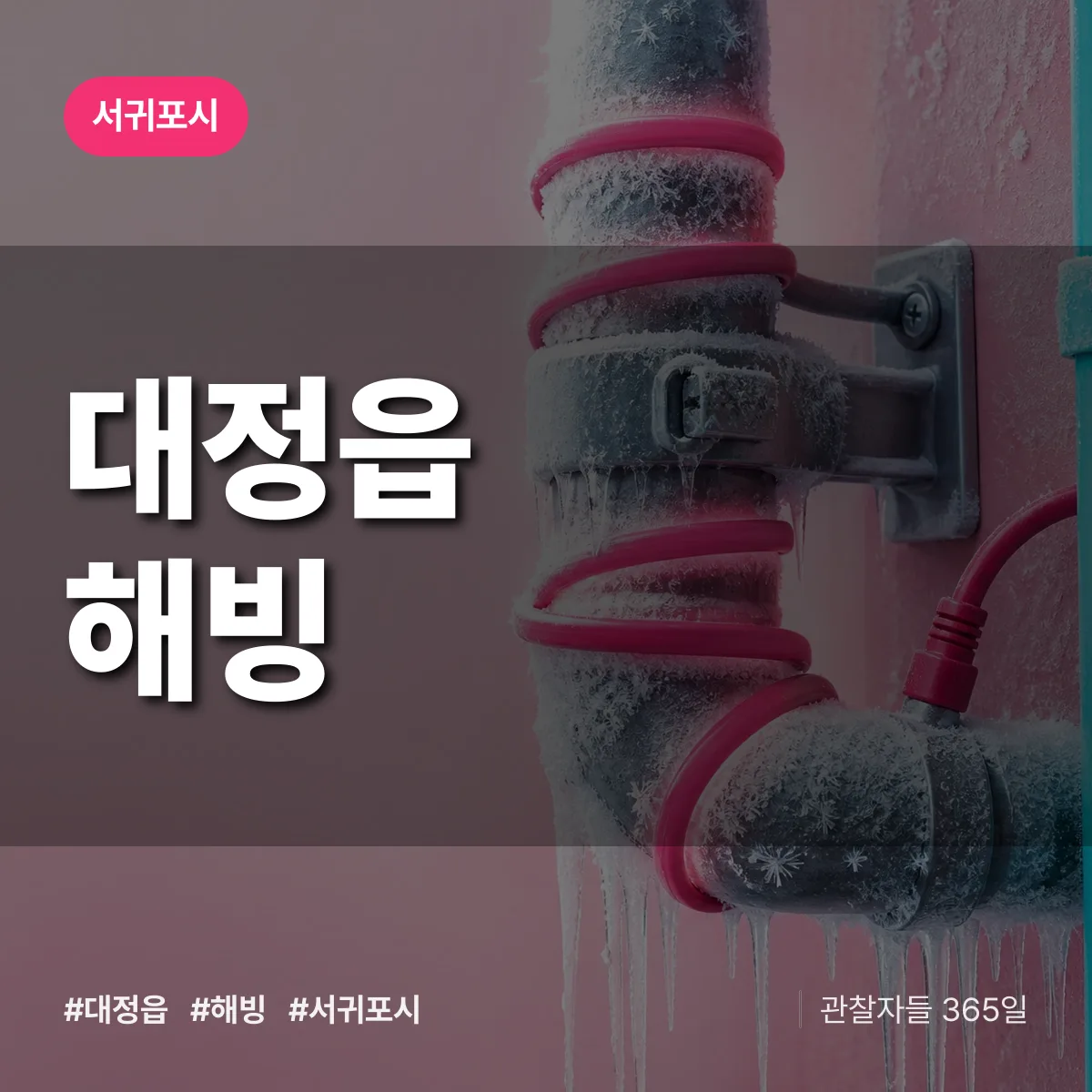 대정읍 해빙 배너