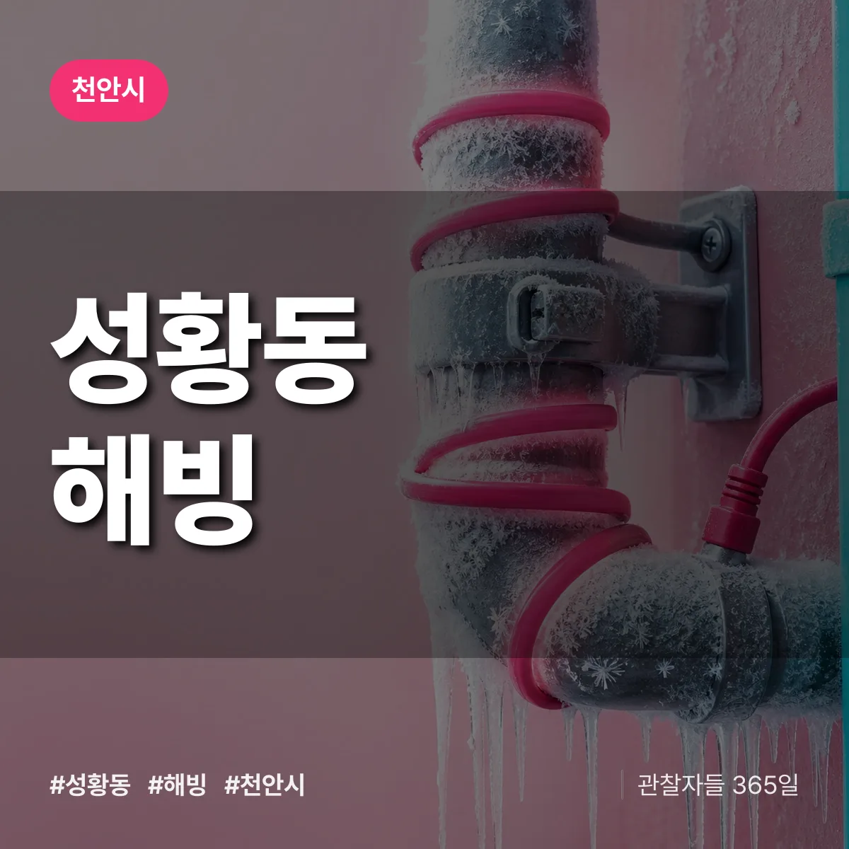 성황동 해빙 배너