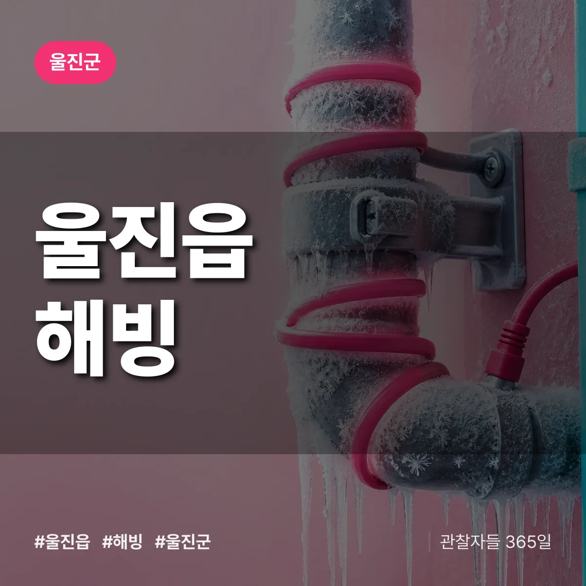 울진읍 해빙 배너