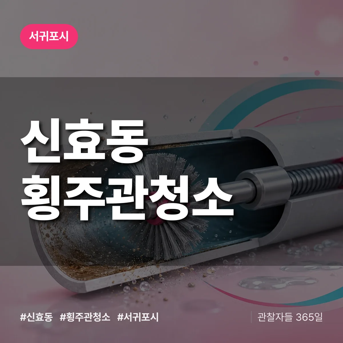 신효동 횡주관청소 배너