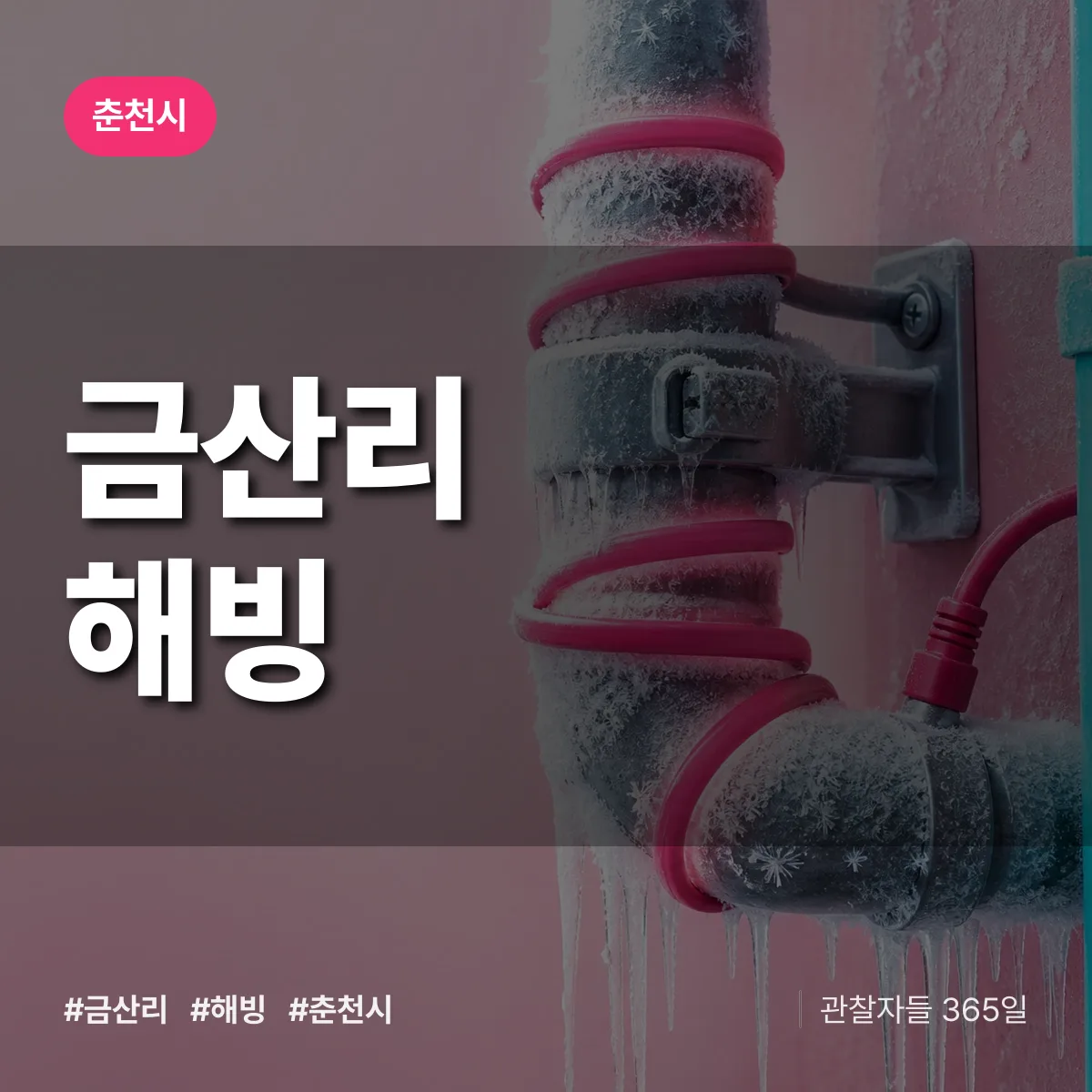 금산리 해빙 배너