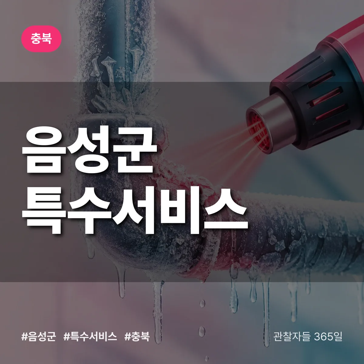 충북 음성군 특수서비스 상담 배너