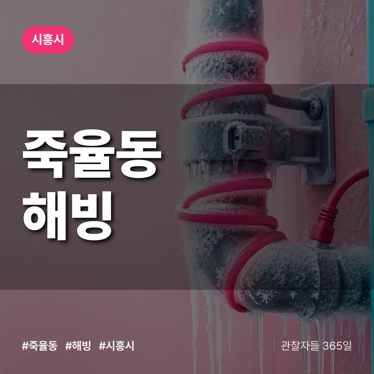 죽율동 해빙 배너