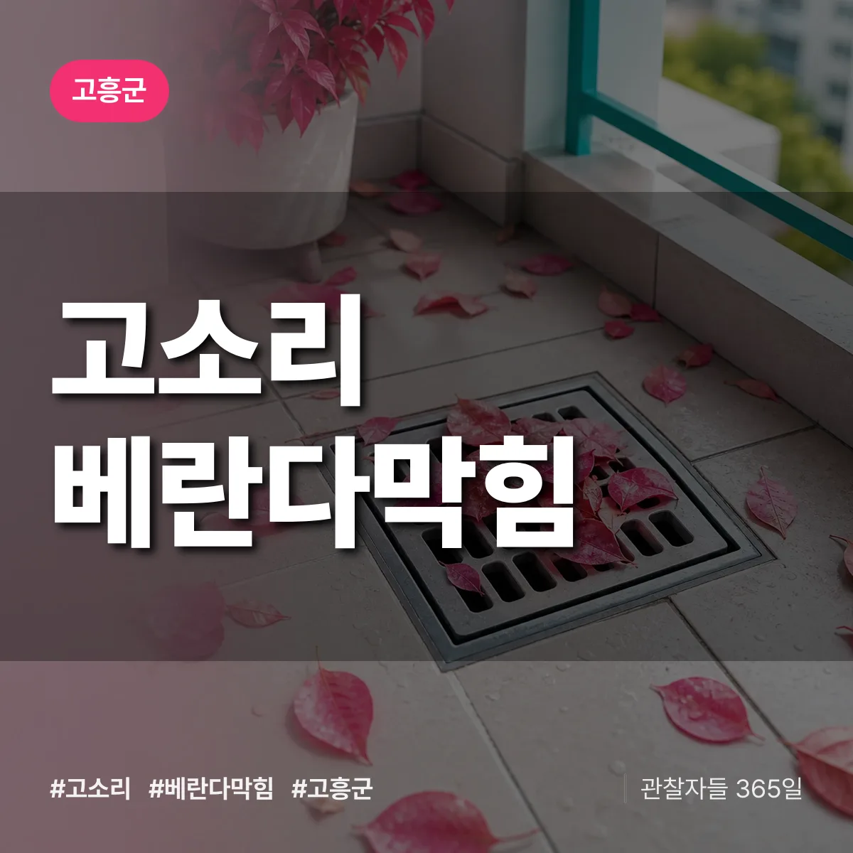 고소리 베란다막힘 배너