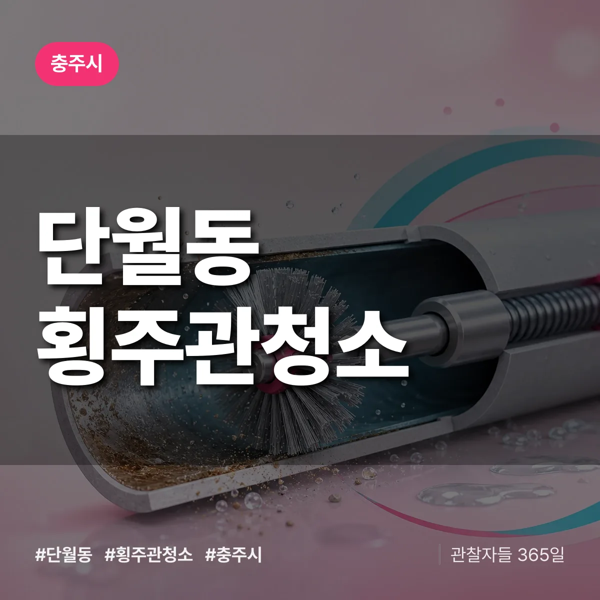 단월동 횡주관청소 배너