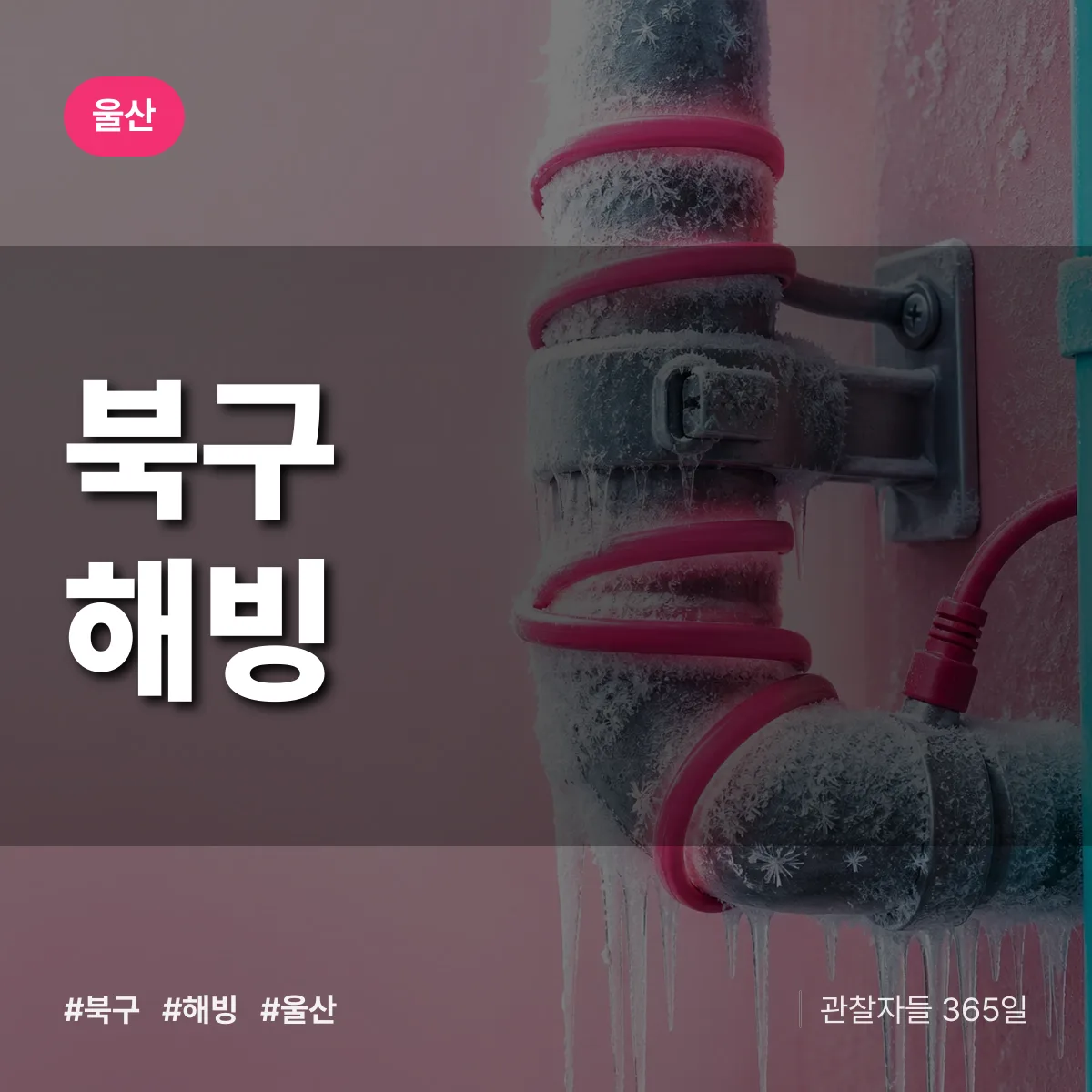 울산 북구 해빙 배너