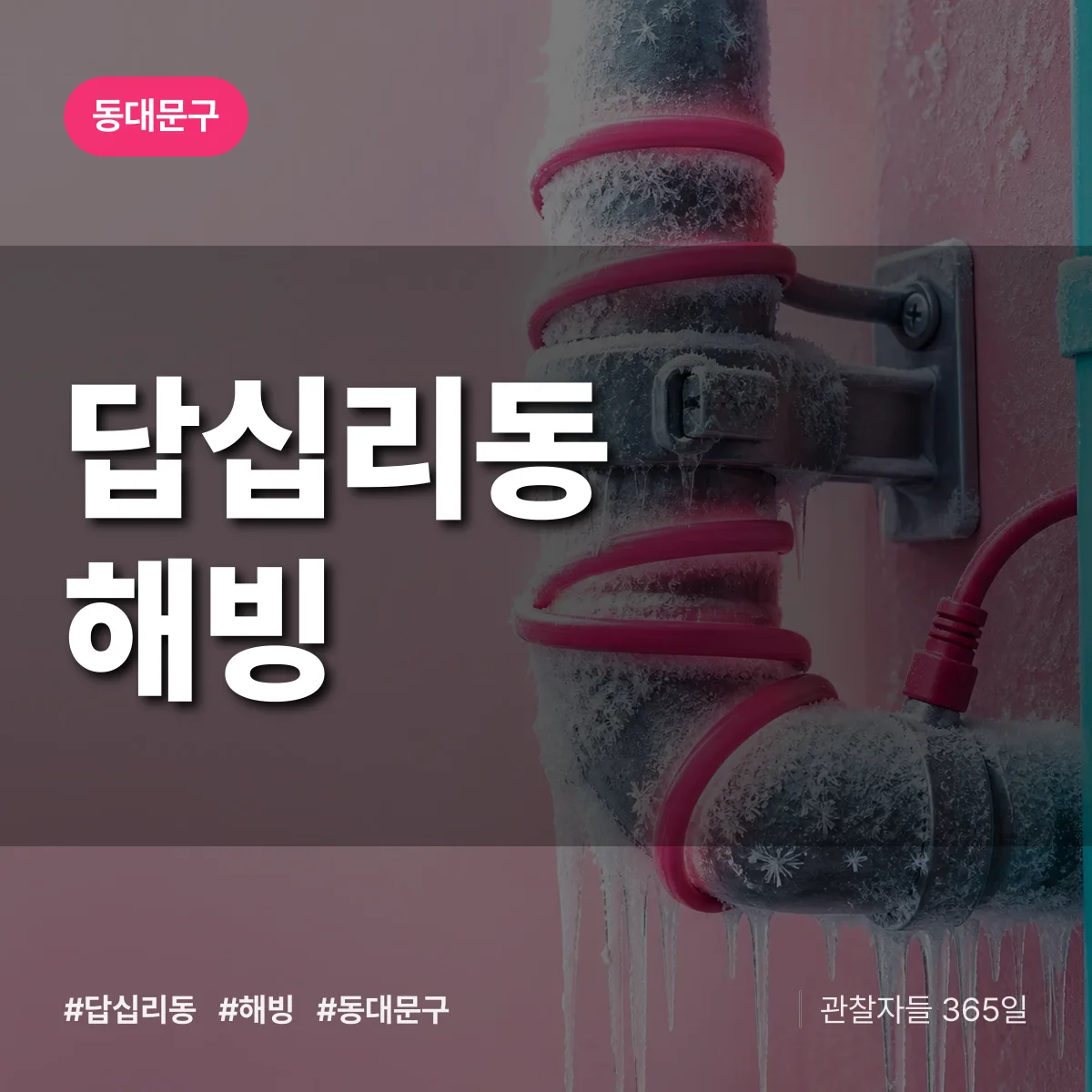 동대문구 답십리동 해빙 상담 배너