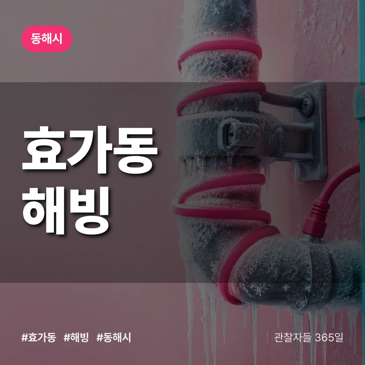 효가동 해빙 배너