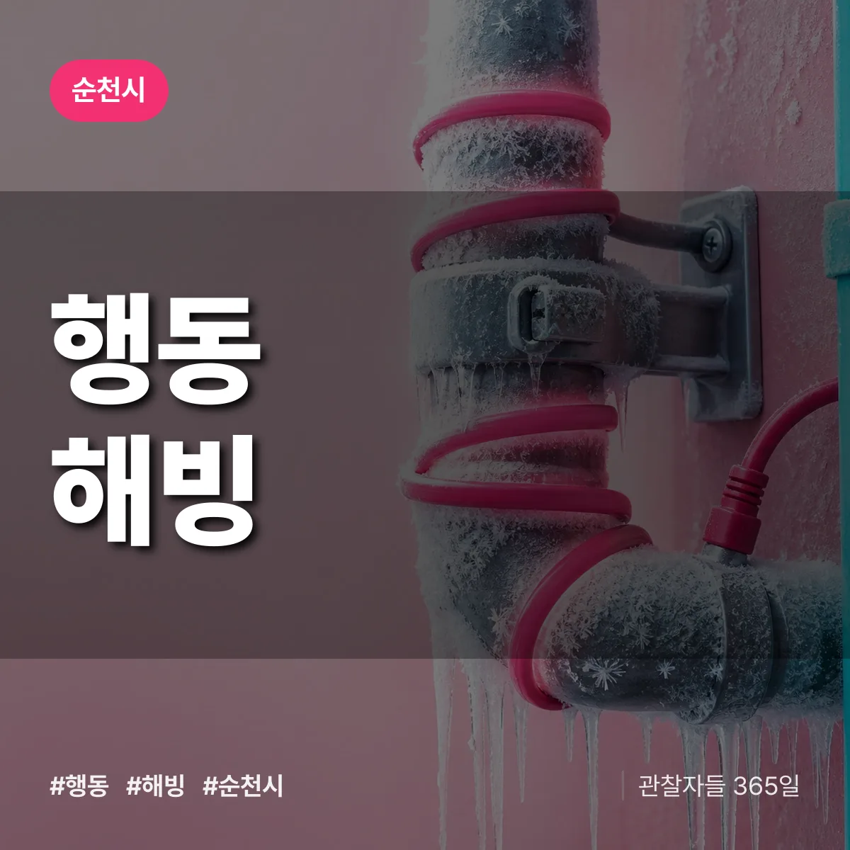 행동 해빙 배너