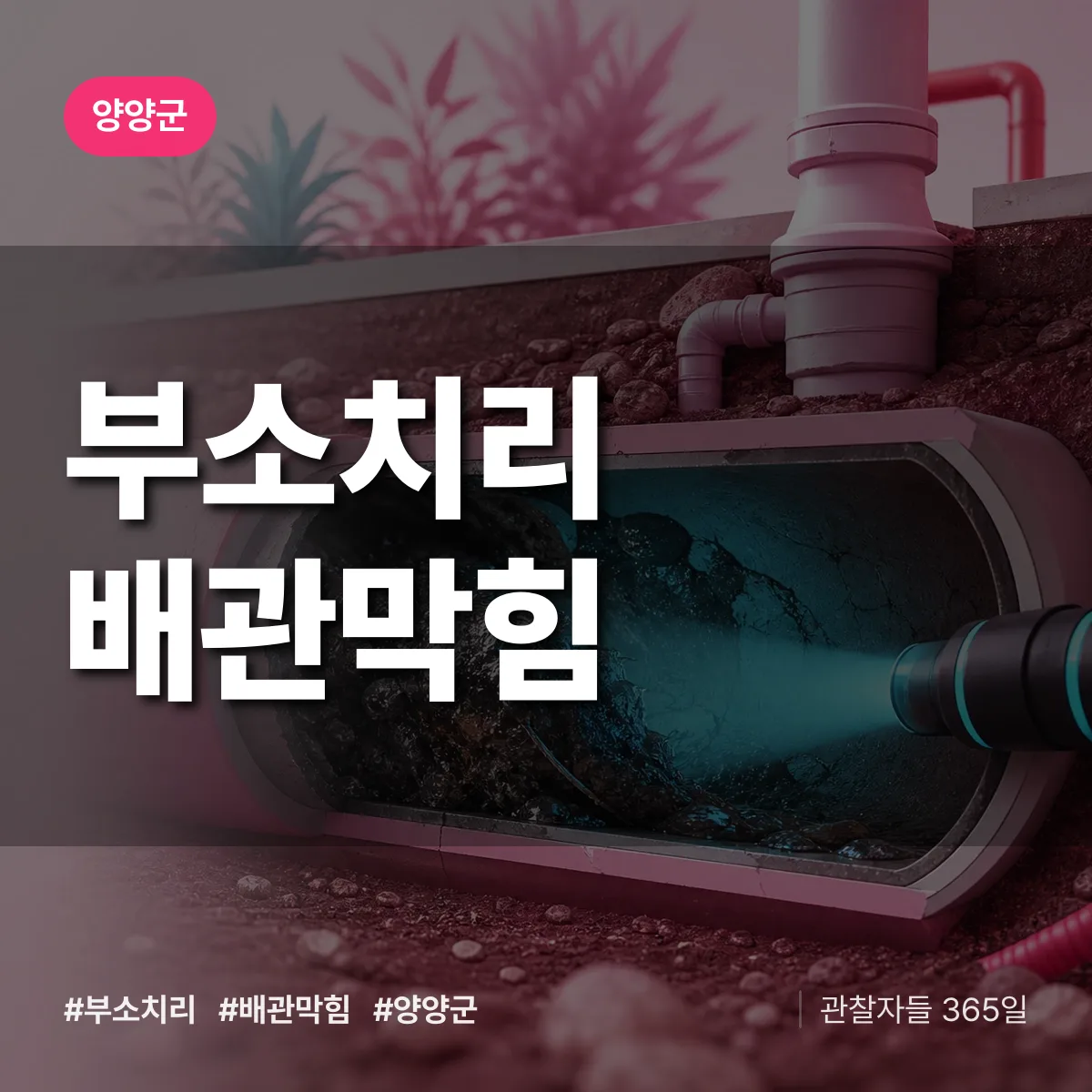양양군 부소치리 배관막힘 상담 배너