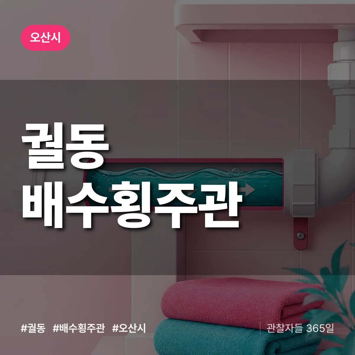 궐동 배수횡주관 배너