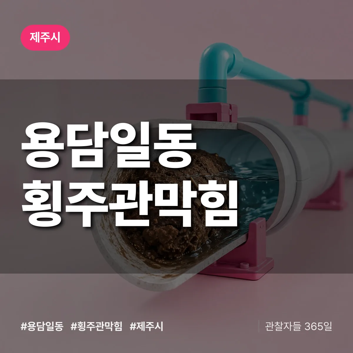 용담일동 횡주관막힘 배너