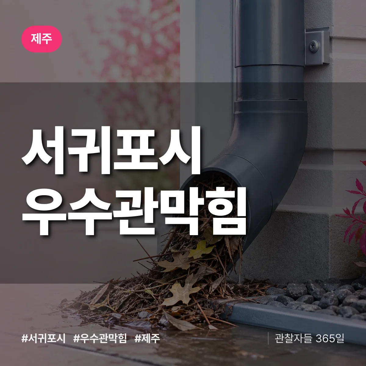 제주 서귀포시 우수관막힘 상담 배너
