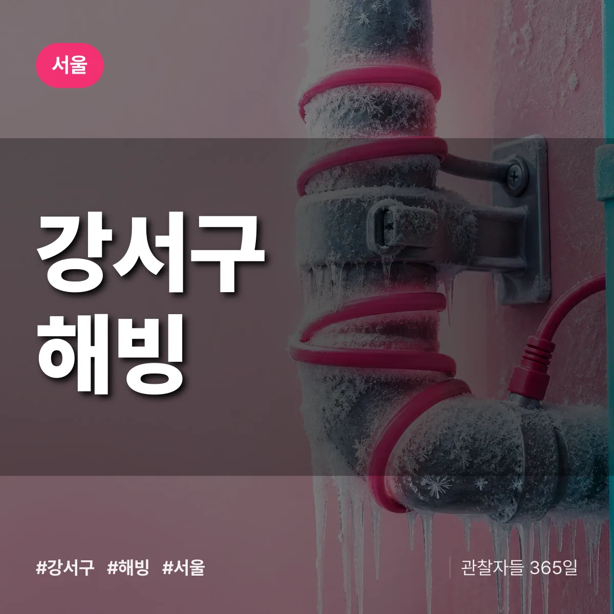 서울 강서구 해빙 상담 배너