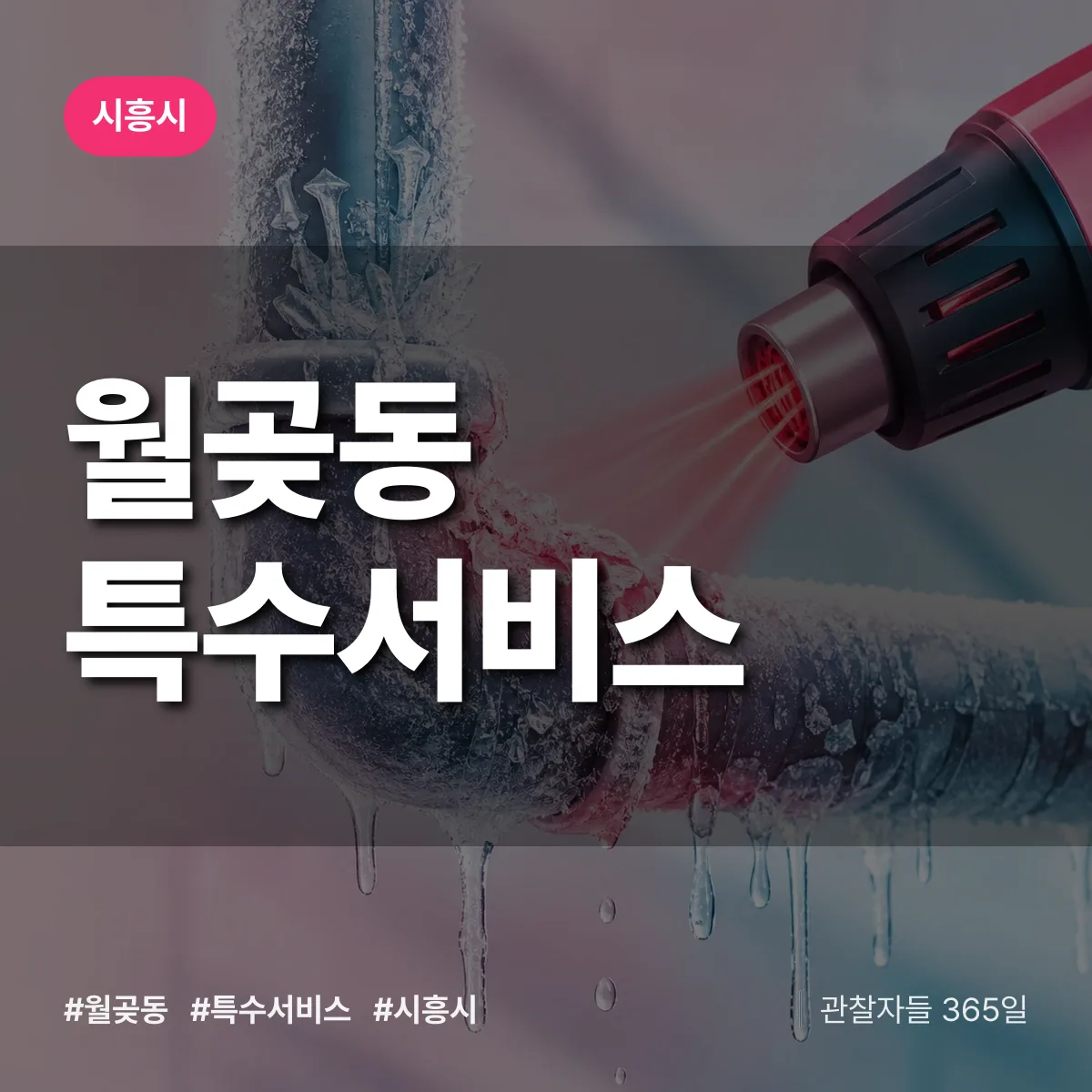 시흥시 월곶동 특수서비스 상담 배너