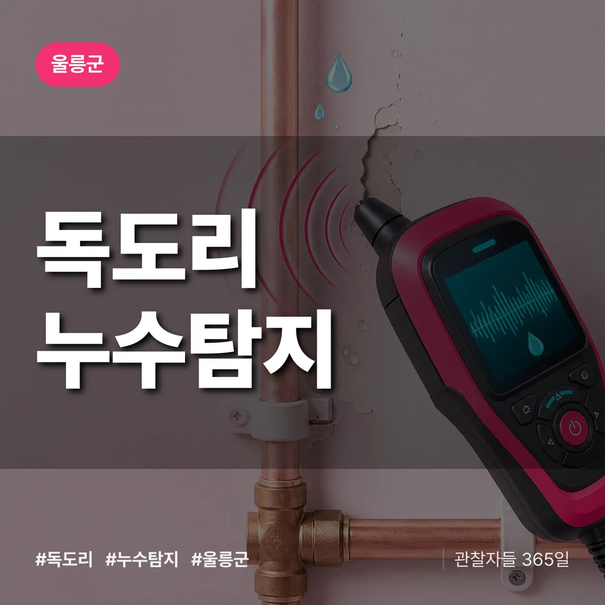 독도리 누수탐지 배너