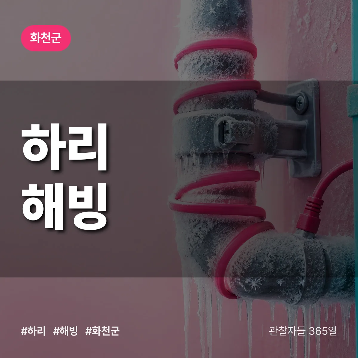 하리 해빙 배너