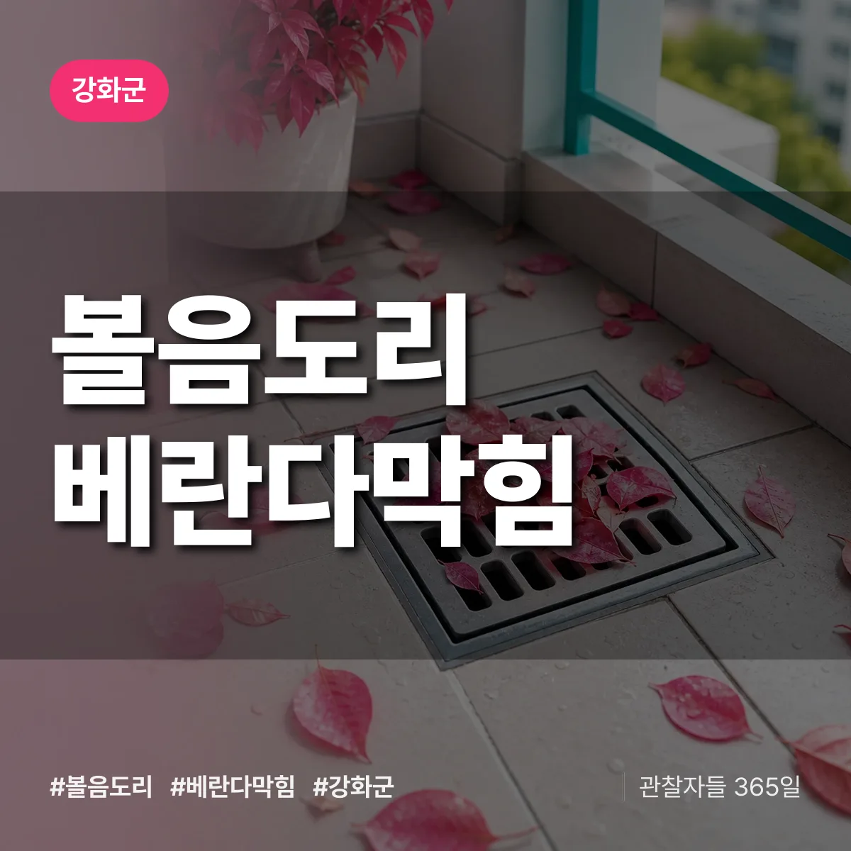 볼음도리 베란다막힘 배너
