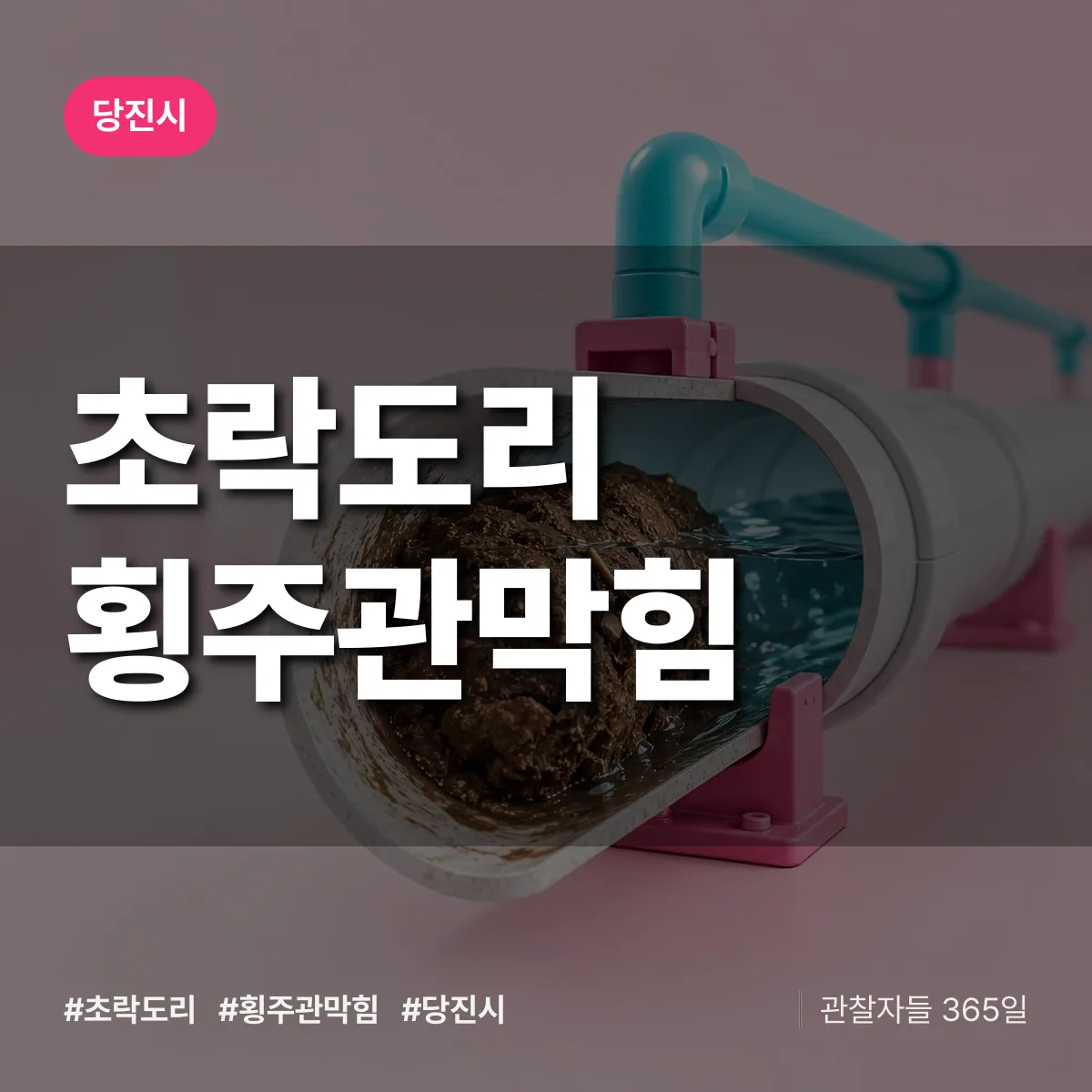 초락도리 횡주관막힘 배너