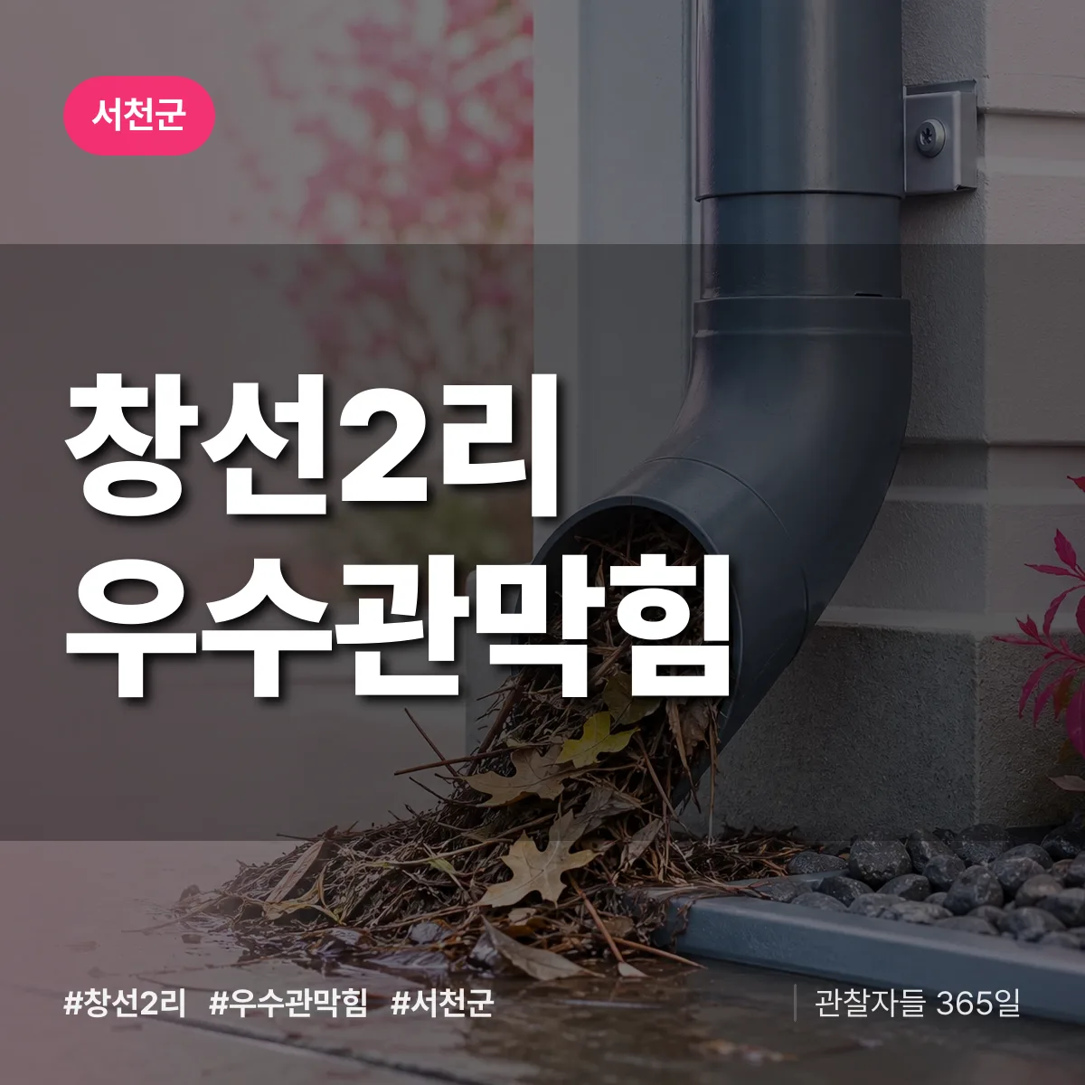 창선2리 우수관막힘 배너