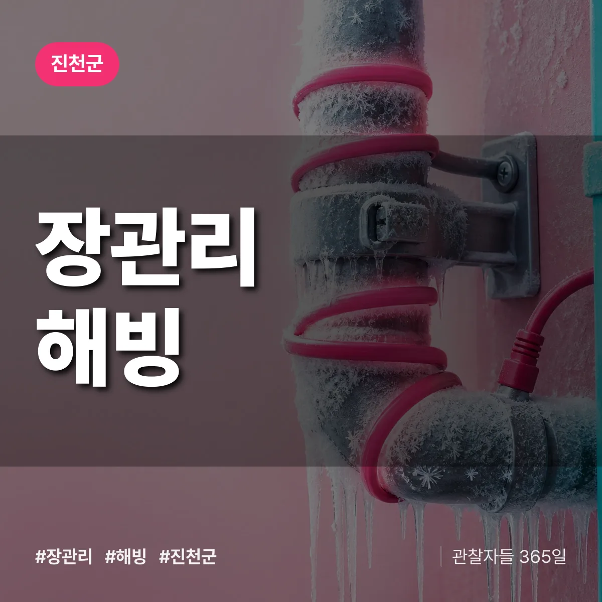 장관리 해빙 배너