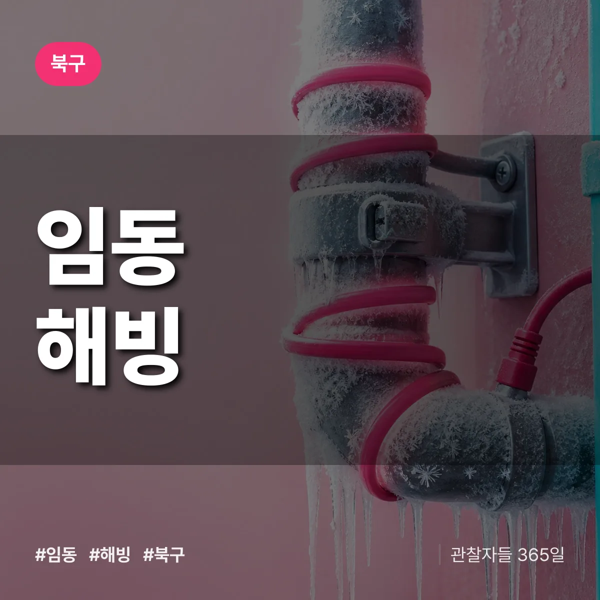임동 해빙 배너