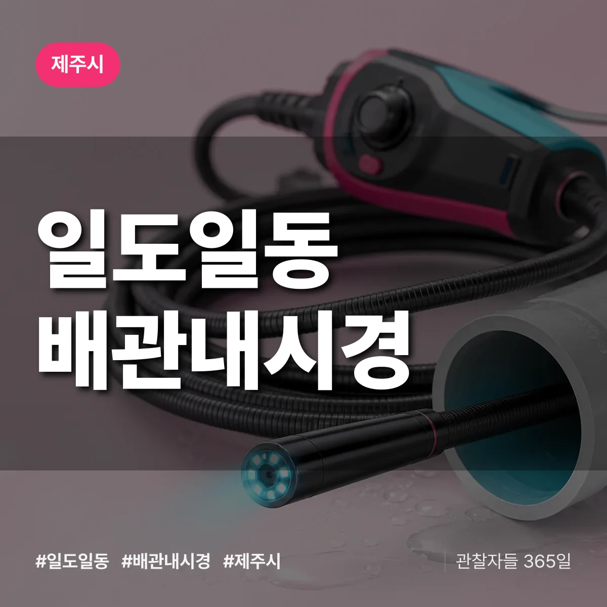 일도일동 배관내시경 배너
