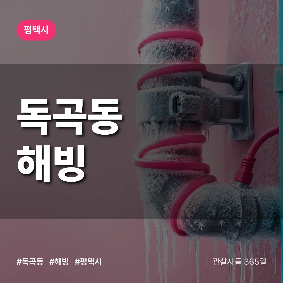 독곡동 해빙 배너