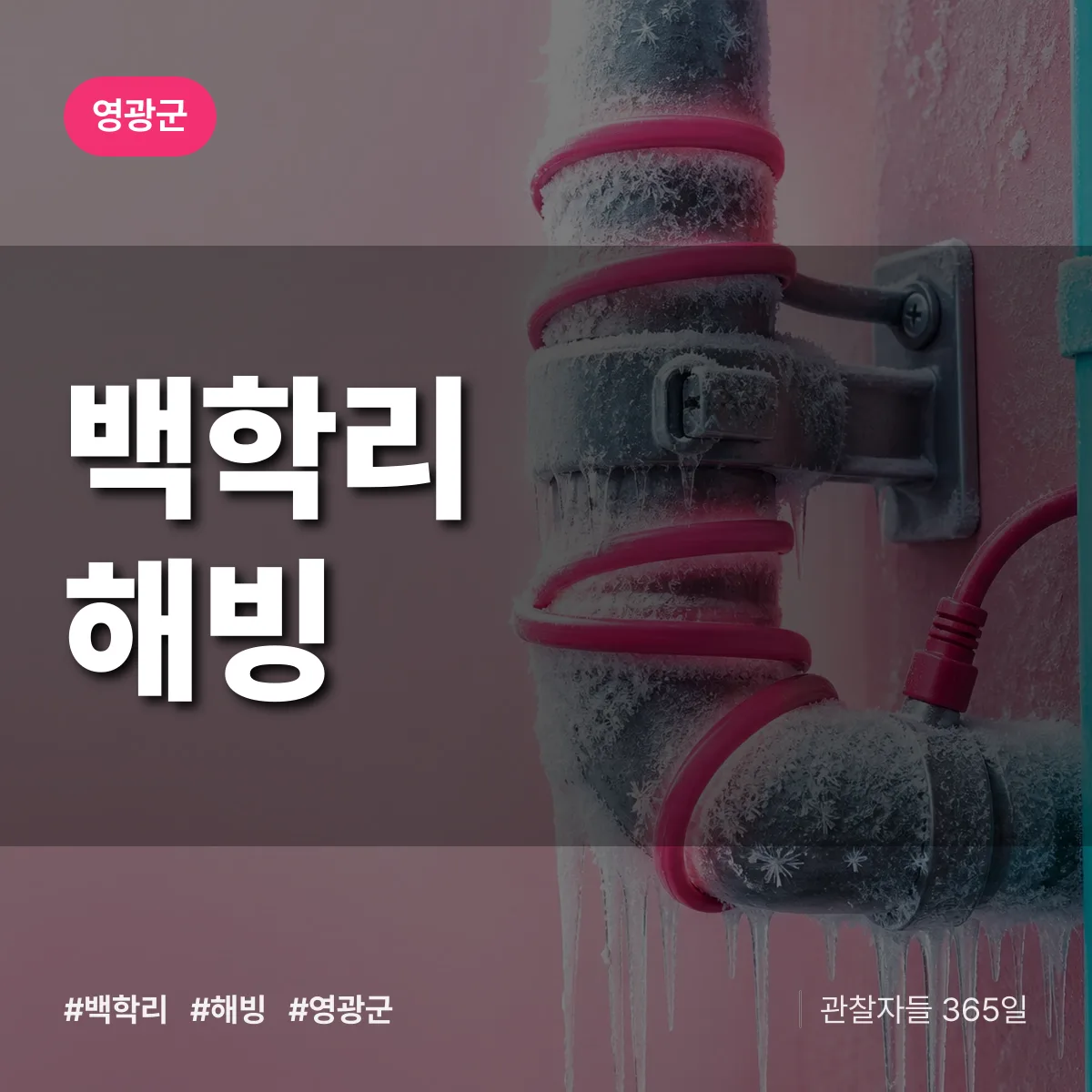 백학리 해빙 배너