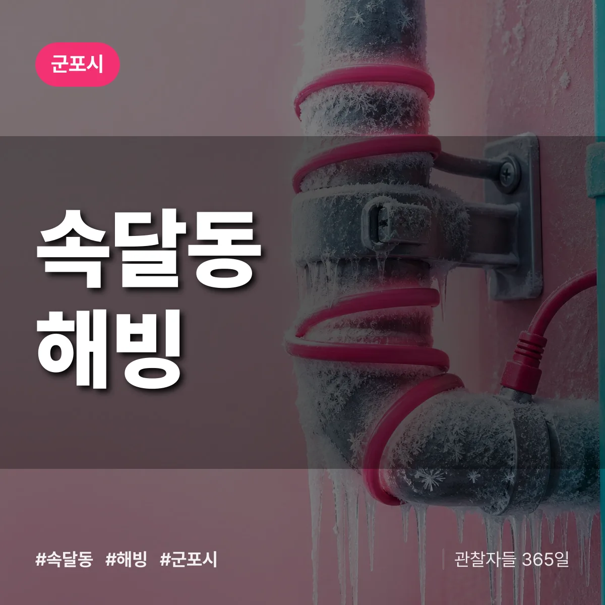 속달동 해빙 배너