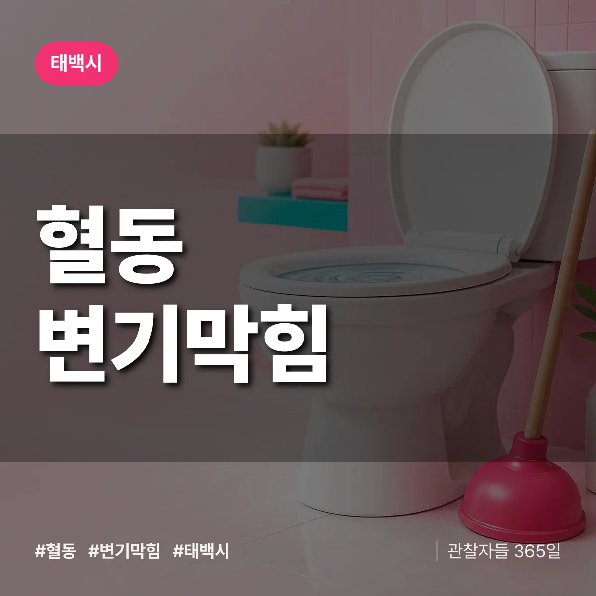 혈동 변기막힘 배너