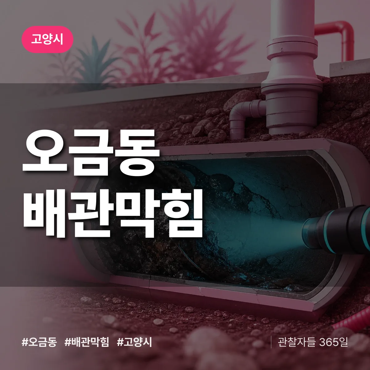 고양시 오금동 배관막힘 상담 배너