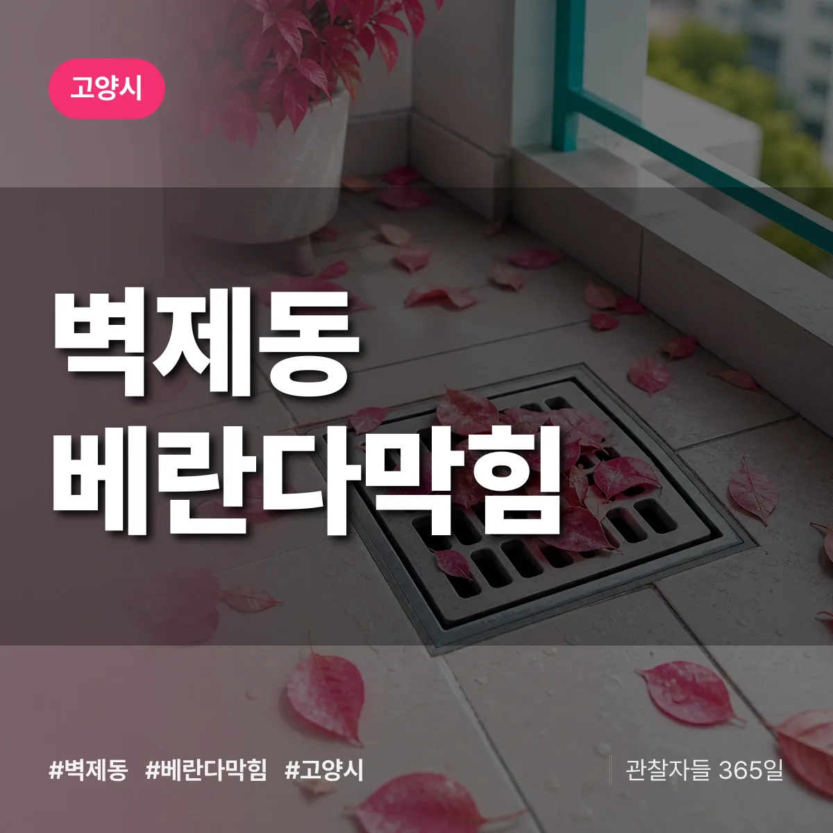 벽제동 베란다막힘 배너