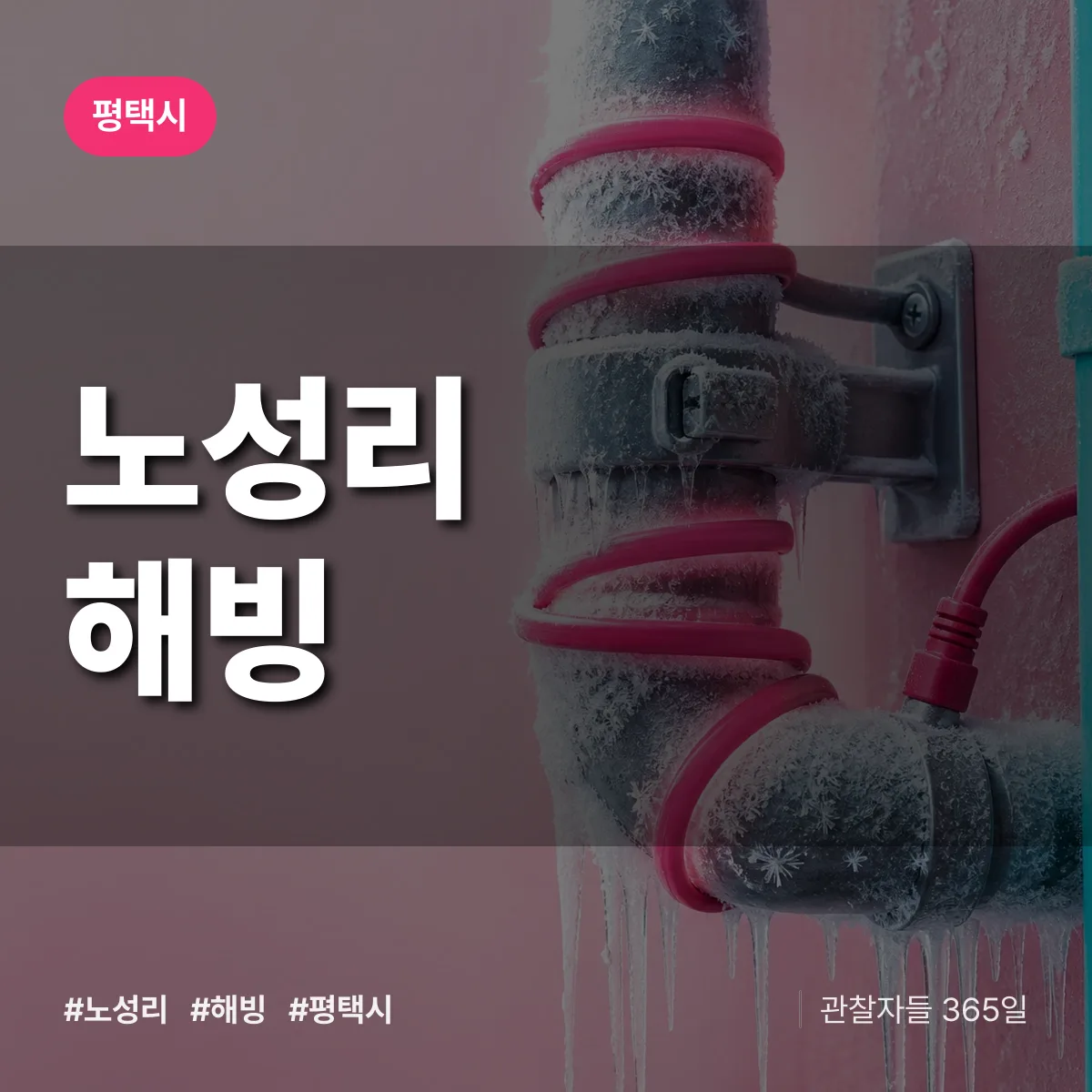 노성리 해빙 배너