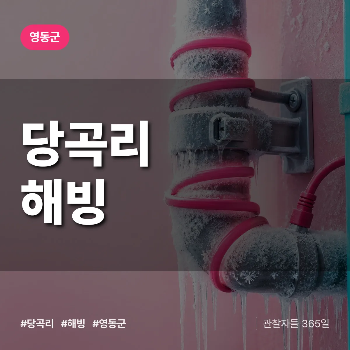 당곡리 해빙 배너