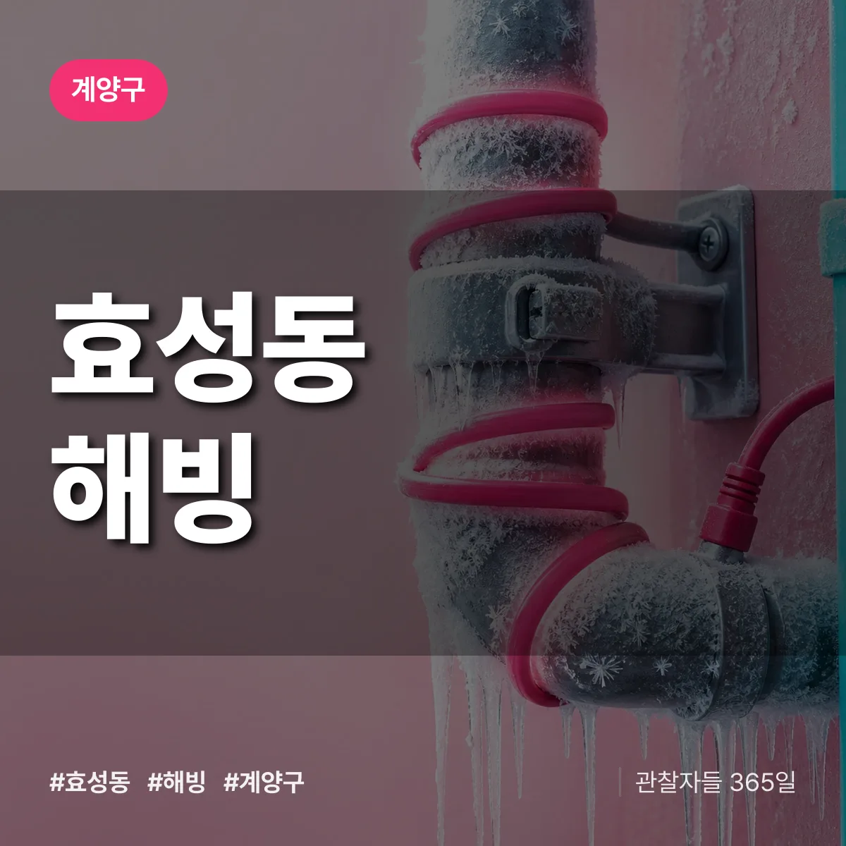효성동 해빙 배너