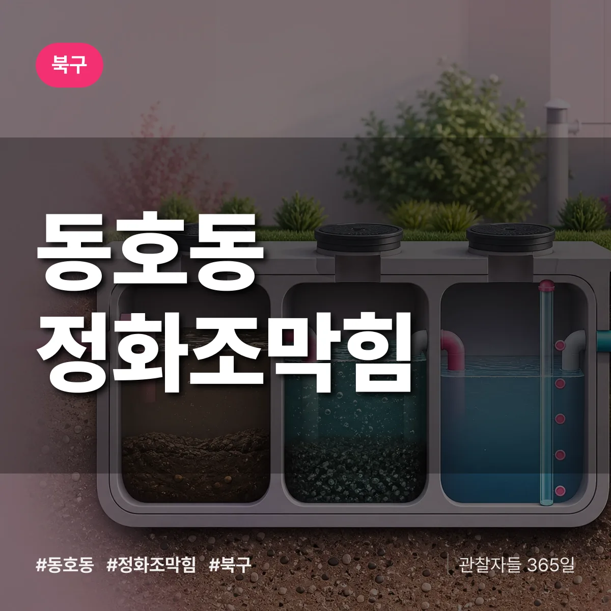 대구 북구 동호동 정화조막힘 배너
