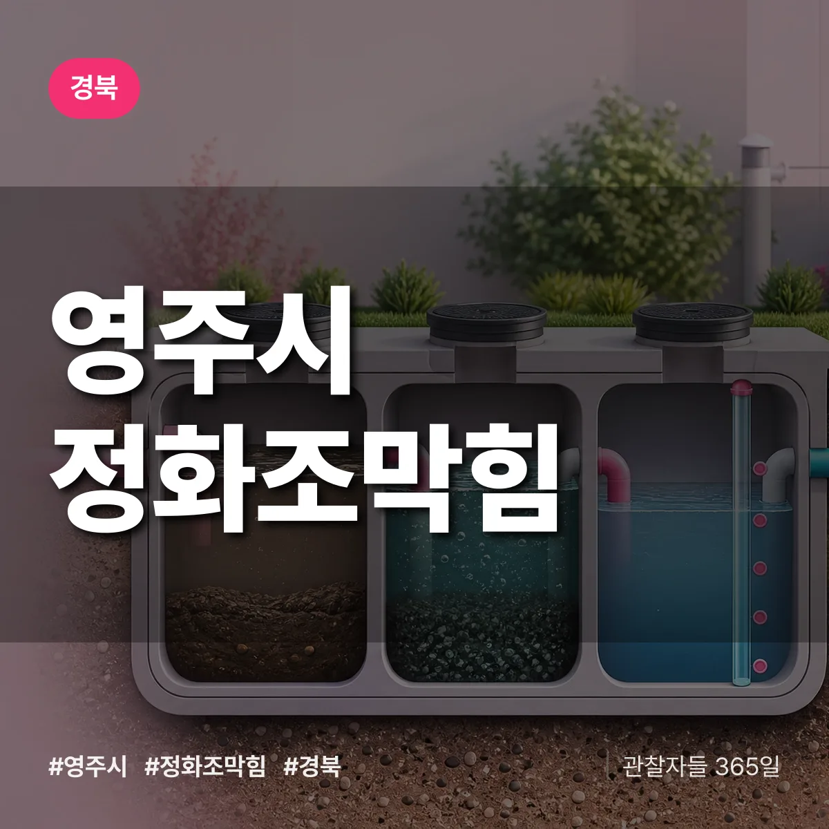 경북 영주시 정화조막힘 배너