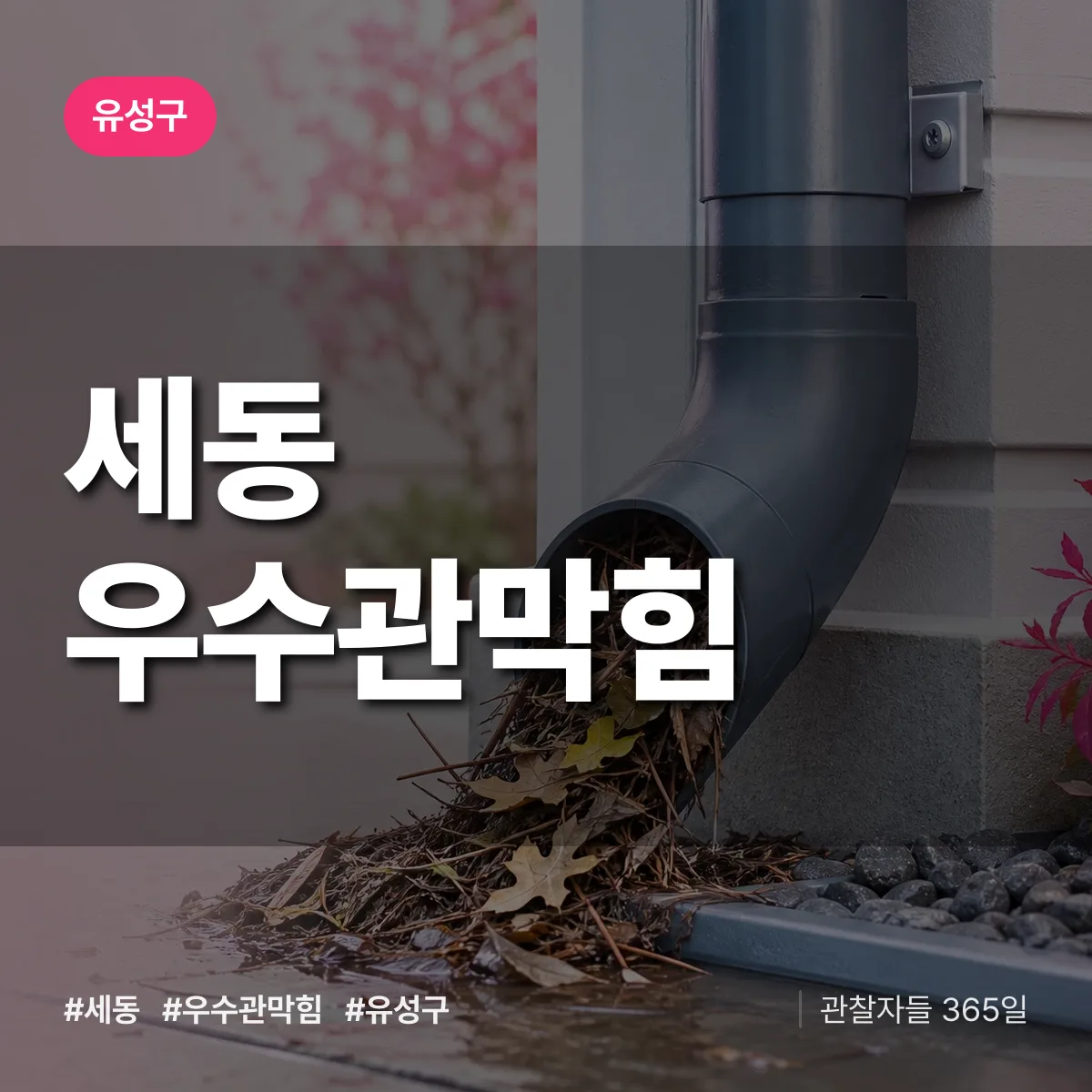 유성구 세동 우수관막힘 상담 배너