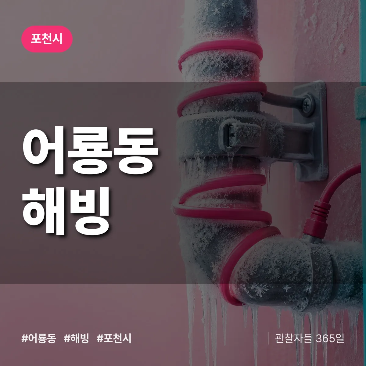 어룡동 해빙 배너