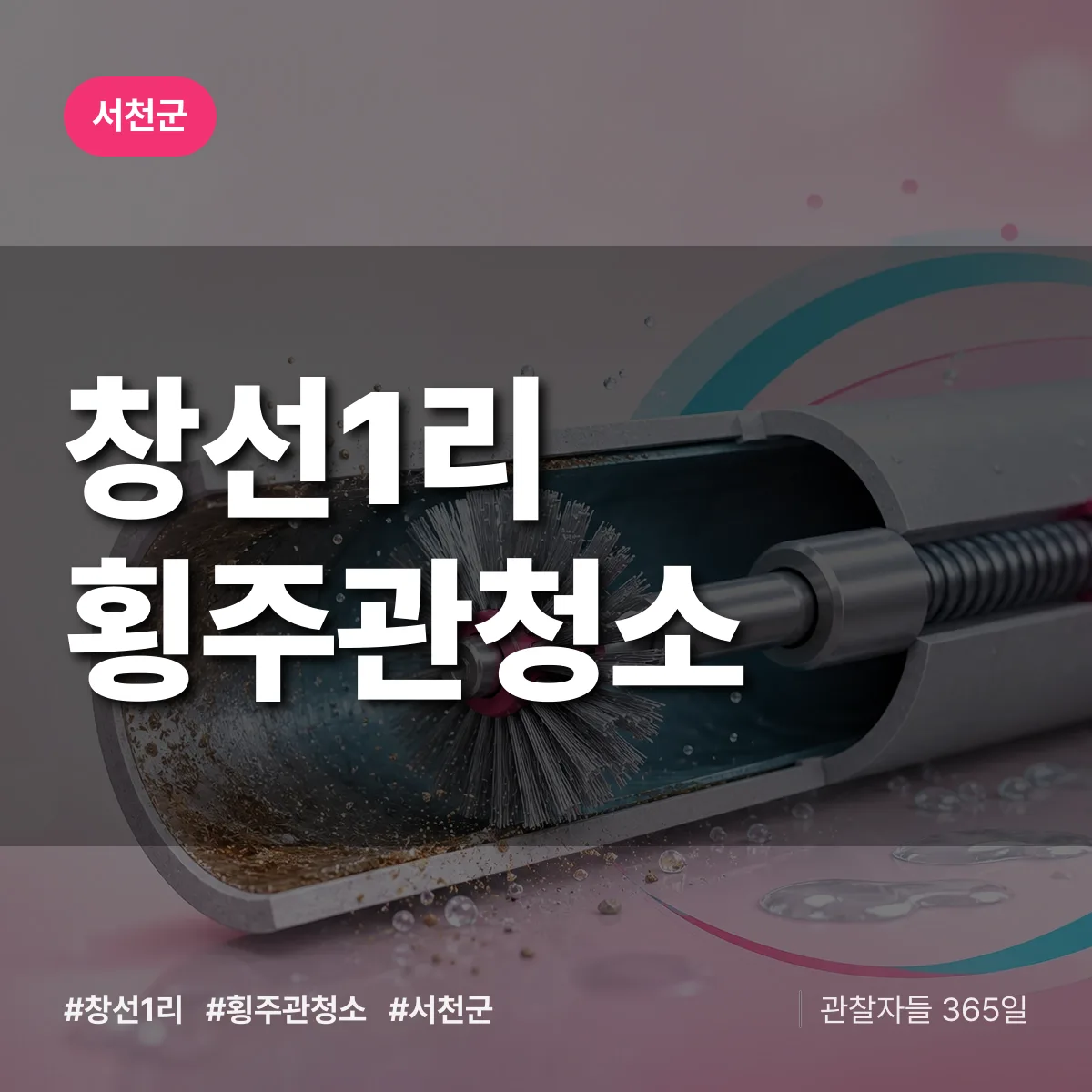 창선1리 횡주관청소 배너