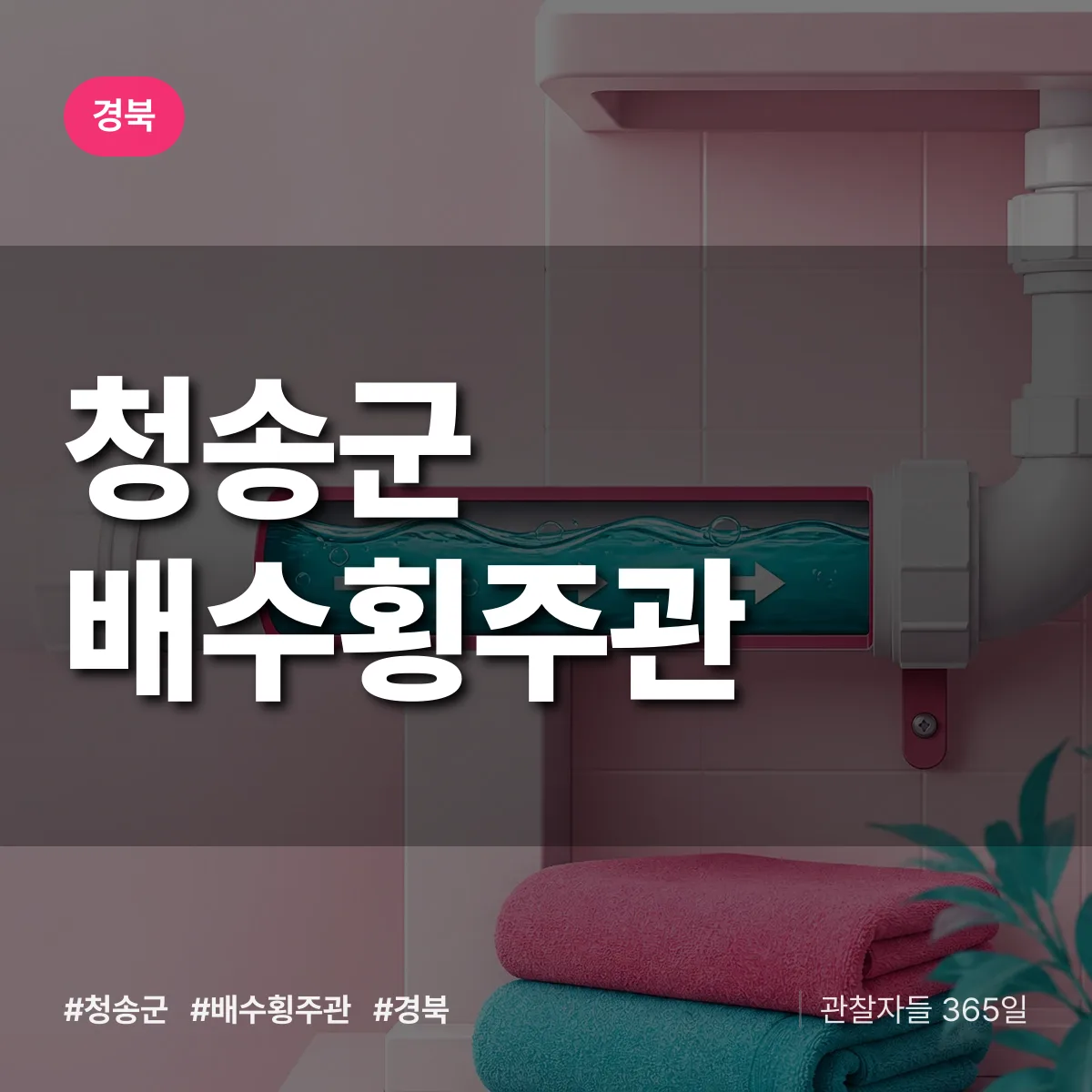 경북 청송군 배수횡주관 배너