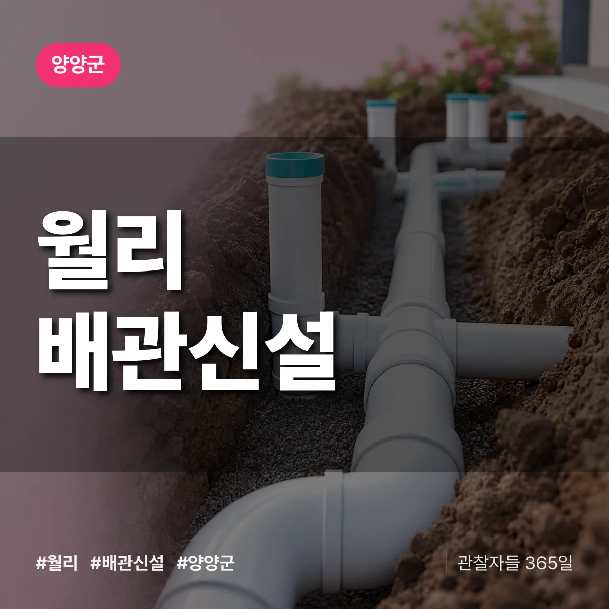 월리 배관 신설 배너