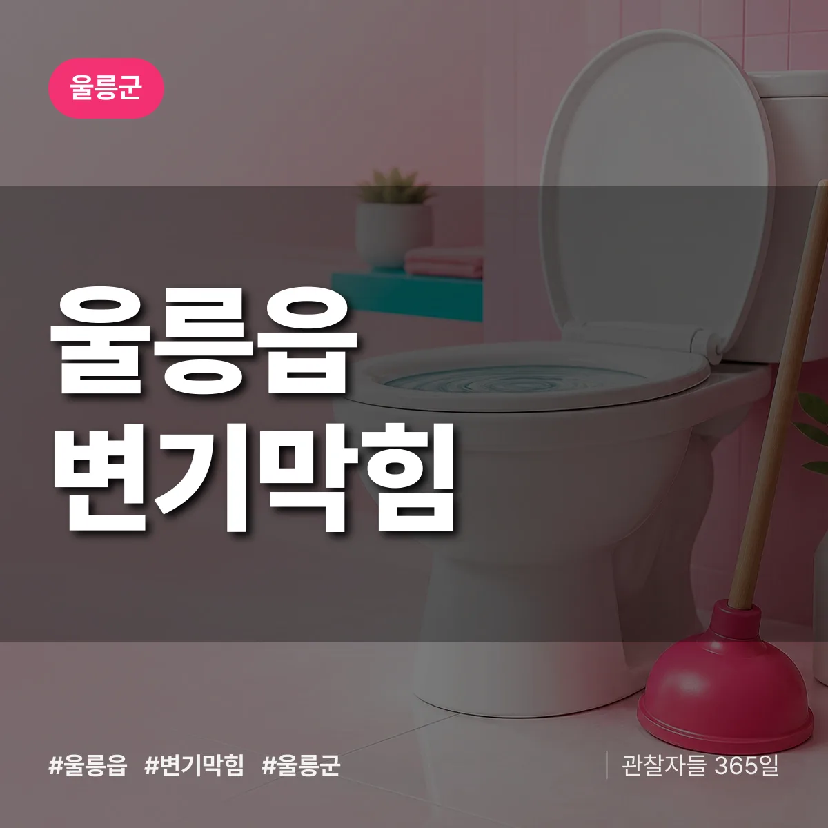 울릉읍 변기막힘 배너